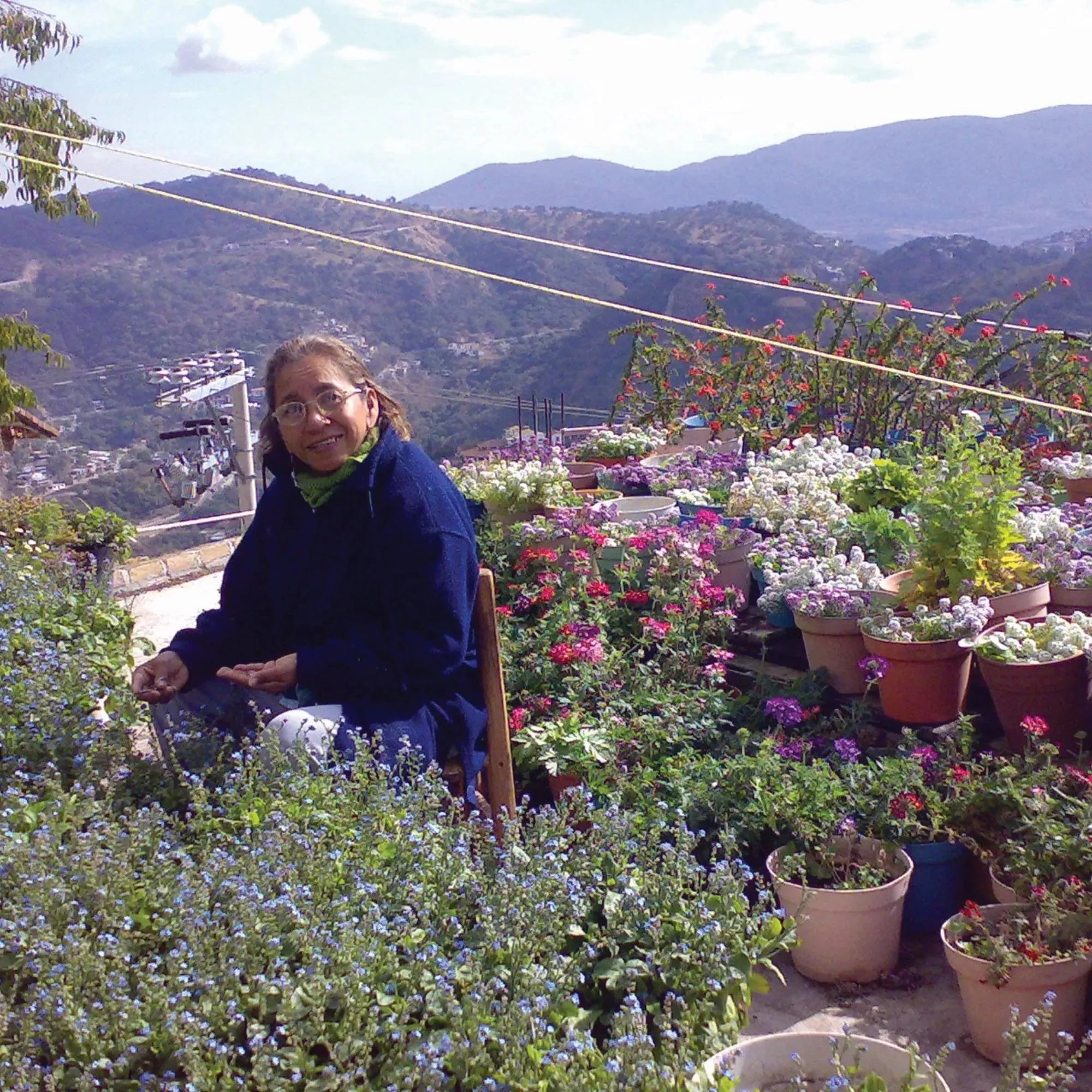 Pendientes colgantes de plata de ley con flores moradas: hechos a mano con flores auténticas.