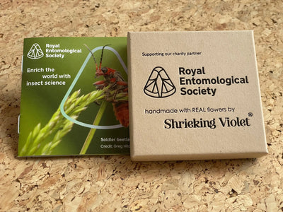 Colar de borboleta papoula da Shrieking Violet® Pingente de prata esterlina feito à mão com flores reais de Euphorbia milii. presente de joias para amantes de borboletas