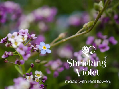 Silberne ovale Brosche mit echten Vergissmeinnicht-Blüten von Shrieking Violet®