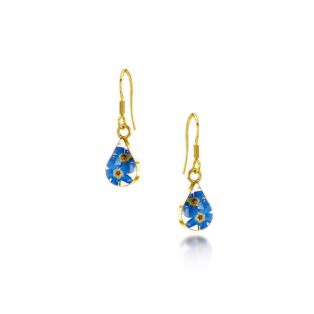 Flower jewellery by Shrieking Violet® Gold-plated sterling silver teardrop earrings with real forget me not flowers. Ideal gift for mum or nan